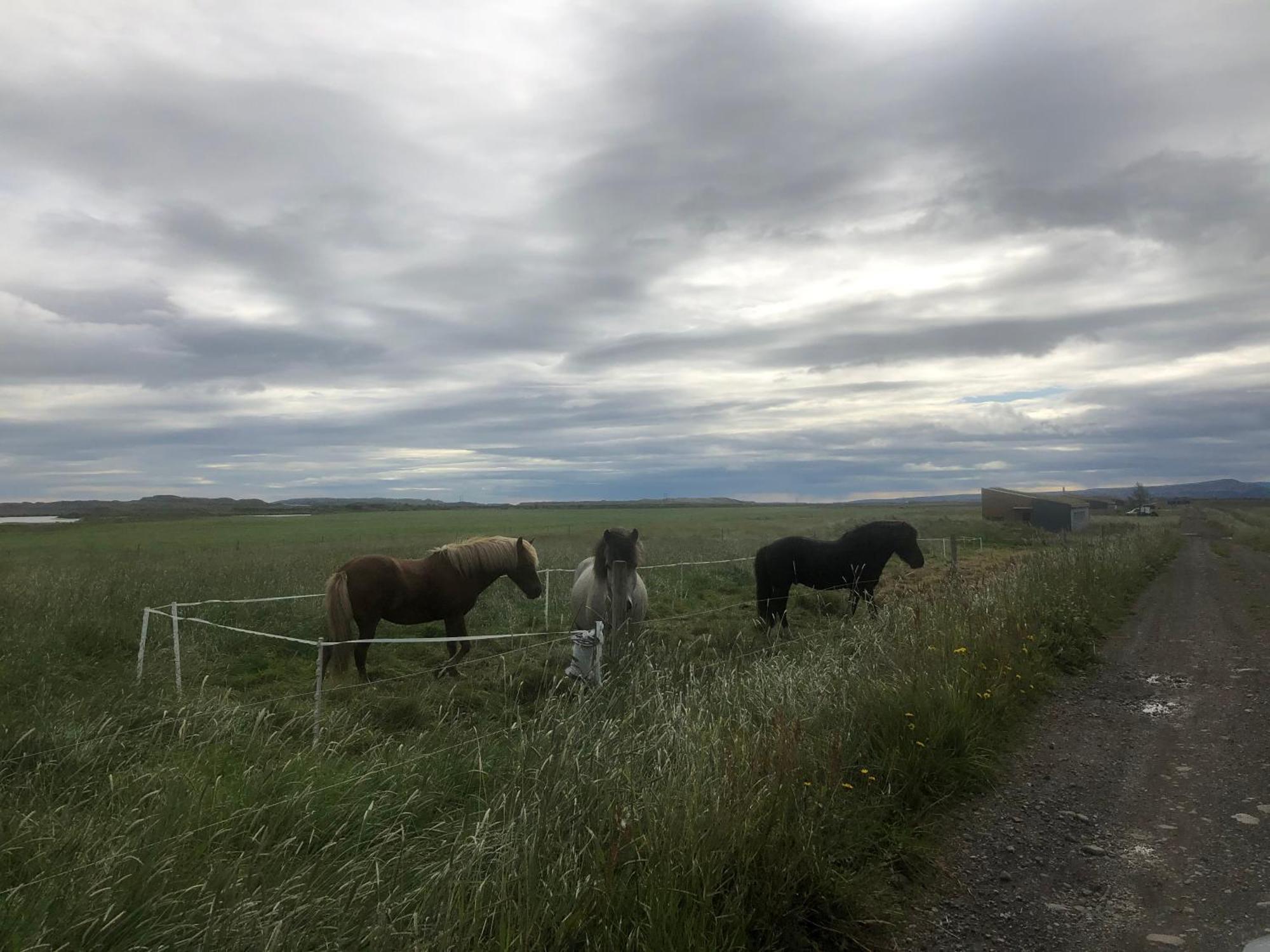Þrandarholt Villa Hreppholar Bagian luar foto
