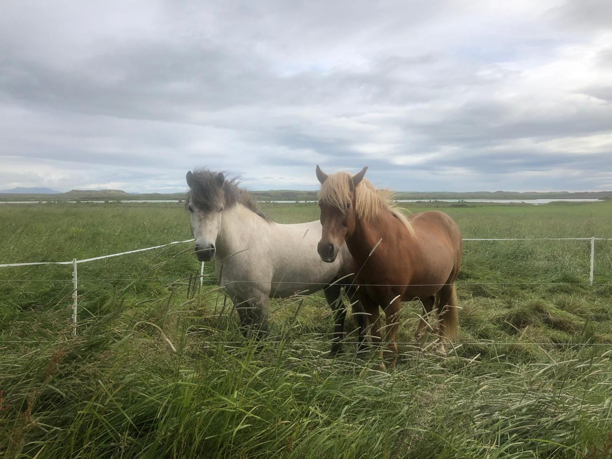 Þrandarholt Villa Hreppholar Bagian luar foto